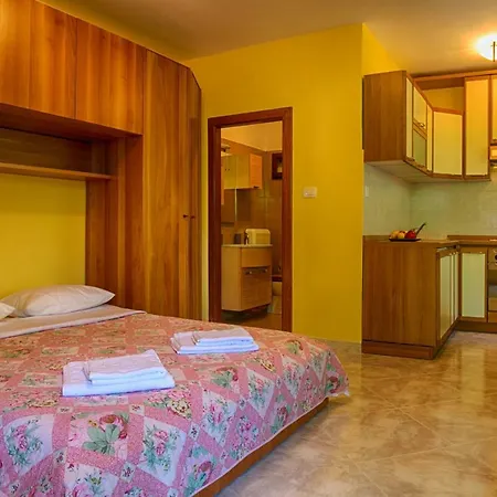 Apartment Medena Matulji
